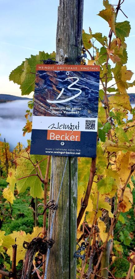 Weingut U. Gaestehaus Becker Platten Eksteriør billede