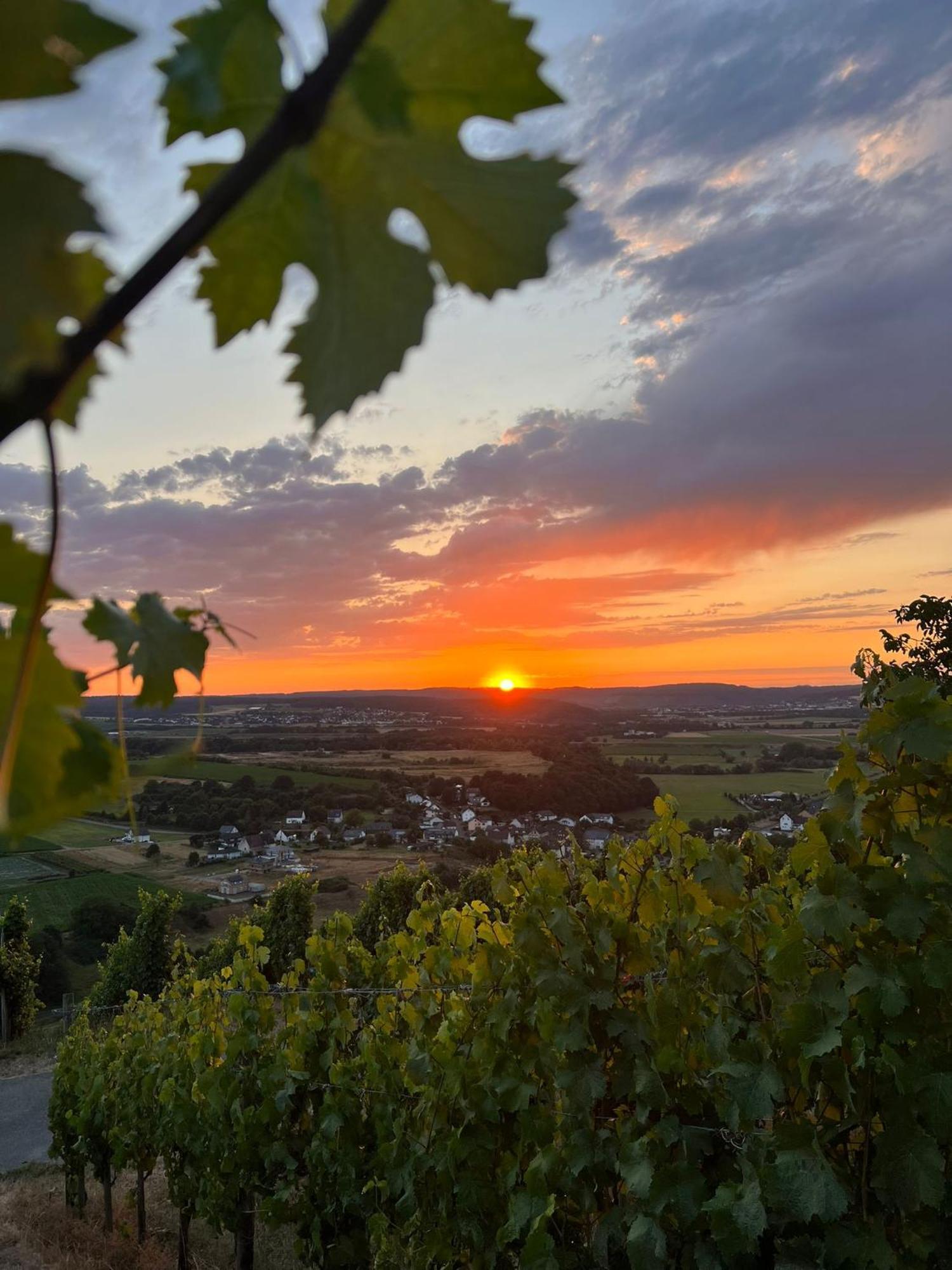 Weingut U. Gaestehaus Becker Platten Eksteriør billede